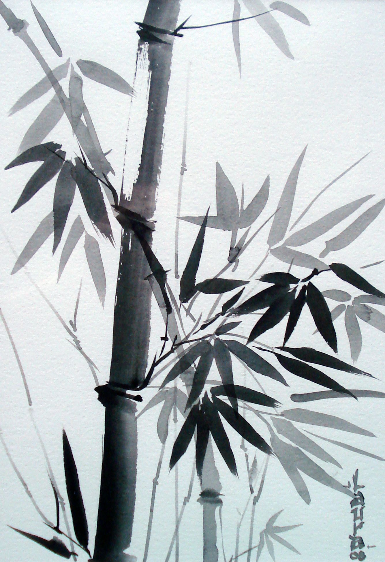 Resultado de imagen de sombra del bambÃº